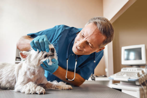 Best Emergency Tooth Extraction in Waggaman, LA